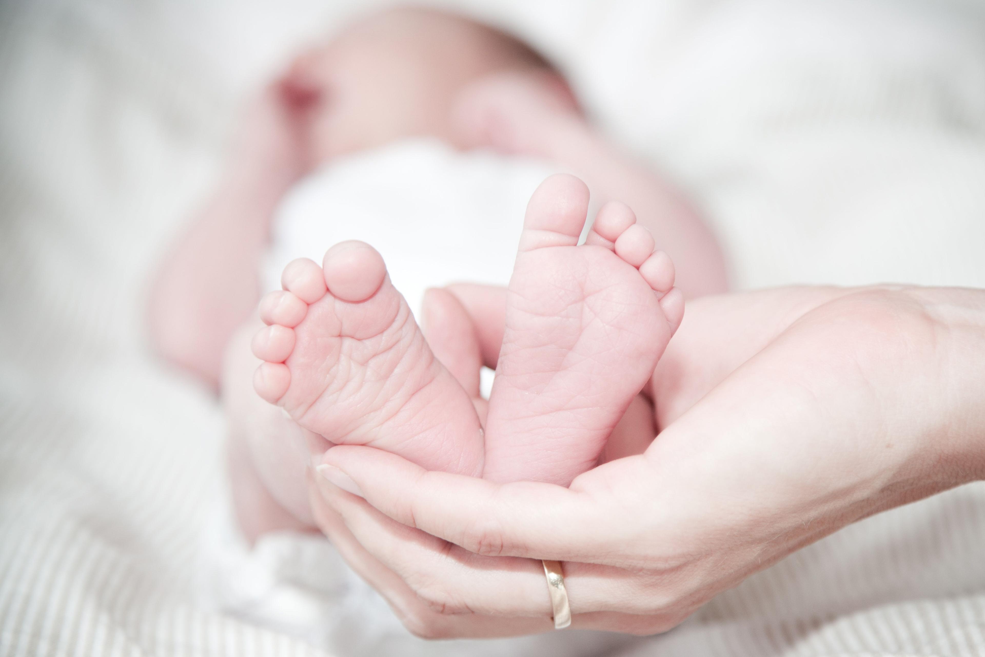 We Now Offer Newborn Photography — Capturing Your Baby's First Days in Monsey, NY